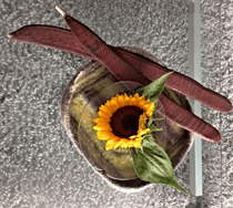 Pflanzenmix Afrika/Europa