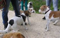 Elli von Burg Lobenstein mittendrin