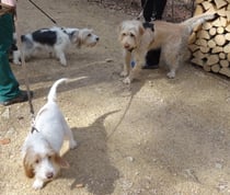 hallo ihr! sagt Chuma zu ihren kleinen Verwandten