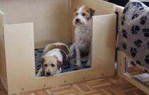 Richtung Wurfkiste....