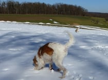 noch viel Schnee... herrlich...