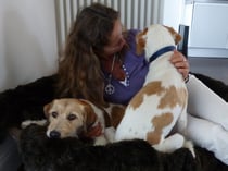 Kuscheln im Körbchen, das haben sich alle verdient!