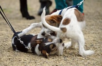 dürfen sie auch, sind sie doch die beiden Jüngsten heute...