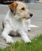 Jetzt! Der Hagel ist vorbei!