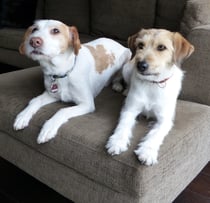 also nochmal gemütlich hinlegen...