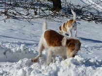 alles so spannend...