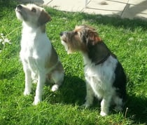 stolze Mama Wurzel mit ihrer jüngsten Tochter Amy-Lou