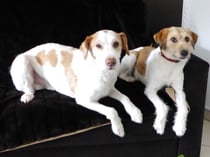 haben wir das gut gemacht?