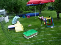 noch ist er leer, der Aussenauslauf... wir hoffen, dass im Sommer wieder fröhliches Welpengewusel unseren Garten füllt.