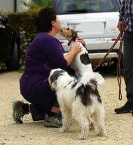 herzlichste Begrüssung von unserer Askia, genannt Chröti. Dusty wartet brav, bis er an der Reihe ist zum Grüezi sagen.