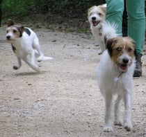 Chröti, unsere Askia im Schuss...Mex und Jasko wundern sich