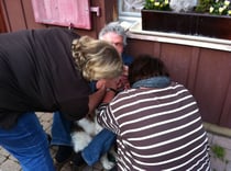 ja exgüsi... es muss sein... Zahnsteinweg bei Aljoscha...