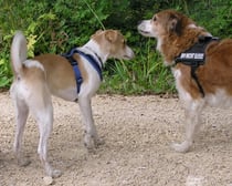 wer bist Du denn? fragt Elli?