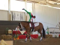 Tawina, from arabesque to shoulderstand