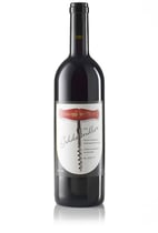 Andy Wildi, Künstleredition 2006