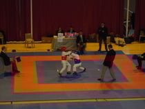 COUPE DE LIGUE KUMITE PPB A FONTAINE 01/02/09
