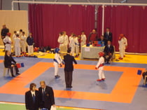 COUPE DE LIGUE KUMITE PPB A FONTAINE 01/02/09