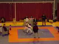 COUPE DE LIGUE KUMITE PPB A FONTAINE 01/02/09