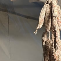 05:25 Zibelezüpfe vom letzten Jahr