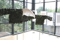 Foto: Walter Neschen