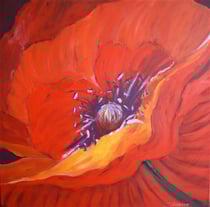 "COQUELICOT" / A VENDRE