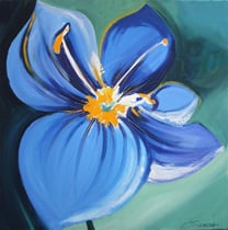 "FLEUR BLEU" / A VENDRE