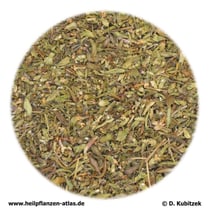 Thymian (Thymi herba)