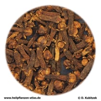 Gewürznelken (Caryophylli flos)