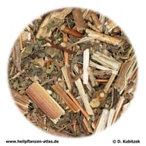 Siegesbeckienkraut (Siegesbeckiae herba). TCM-Name: Xixiancao.