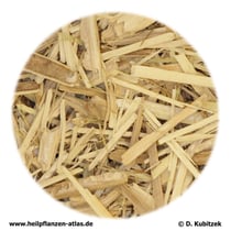 Taigawurzel (Eleutherococci radix)