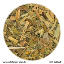 Schöllkraut (Chelidonii herba)