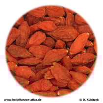 Bocksdornfrüchte (Lycii fructus). TCM-Name: Gouqizi.