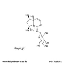 Harpagid