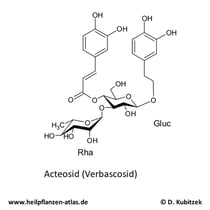 Acteosid (Verbascosid)