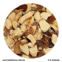 Rosskastaniensamen (Hippocastani semen)