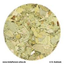 Sennesfiederblättchen (Sennae foliolum)