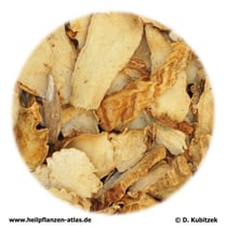 Anemarrhena-asphodeloides-Wurzelstock (Anemarrhenae asphodeloides Rhizoma). TCM-Name: Zhimu (Zhi Mu).