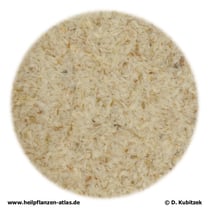 Indische Flohsamenschalen (Plantaginis ovatae seminis tegumentum)