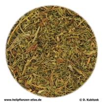 Haariges Beifußkraut (TCM: Yinchen)