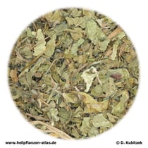 Asiatisches Wassernabelkraut (Centellae asiaticae herba)