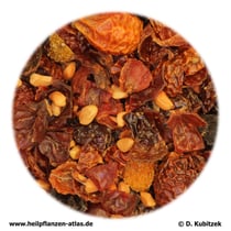 Hagebutten (Rosae pseudofructus cum fructibus)