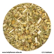 Schafgarbenkraut (Millefolii herba)