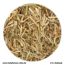 Echtes Labkraut (Galii veri herba)