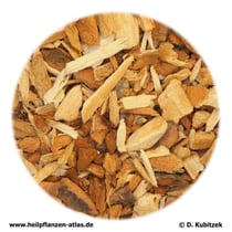 Rosskastanienrinde (Hipposcastani cortex)