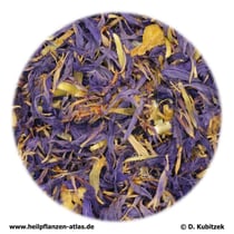 Kornblumenblüten (Cyani flos)