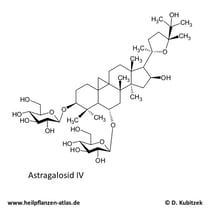 Astragalosid IV