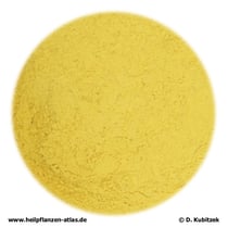 Rohrkolbenpollen (Tyhpae pollis, Puhuang)