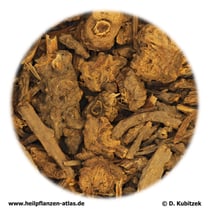 Chinesischer Liebstöckelwurzelstock (TCM: Gaoben)