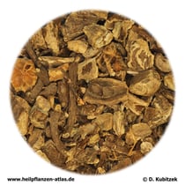 Cimicifugawurzelstock (Cimicifugae rhizomae)