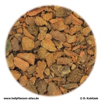 Quebrachorinde, Quebracho cortex